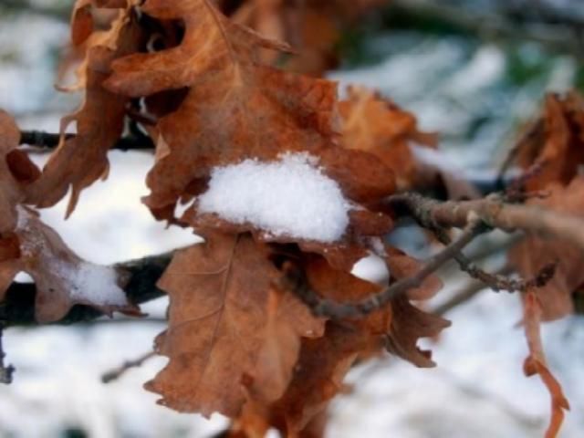 На вихідних погода ще погіршиться, випаде сніг На вихідних погода ще погіршиться, випаде сніг