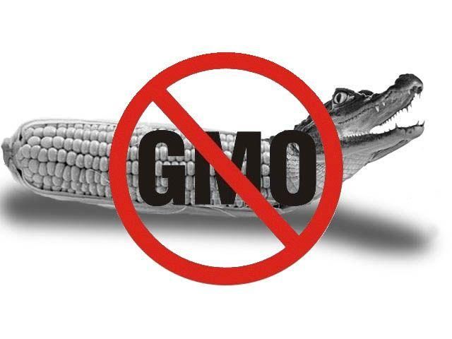 У МОЗі кажуть, що продуктів з ГМО в Україні немає