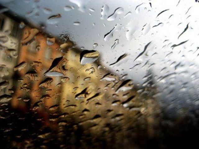 Выборы в Украине пройдут с дождем и ветром Выборы в Украине пройдут с дождем и ветром