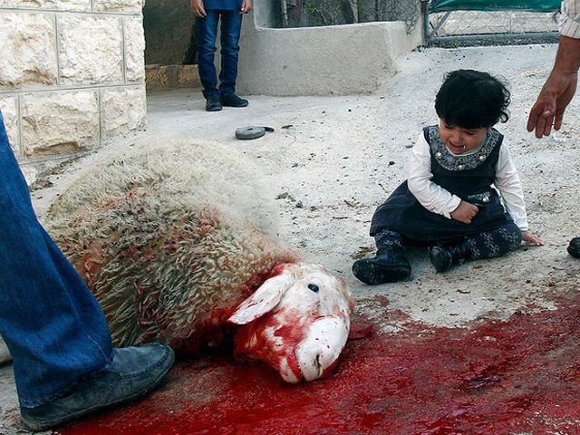 Мусульмане всего мира праздновали Курбан-байрам (Фото) Мусульмане всего мира праздновали Курбан-байрам (Фото)