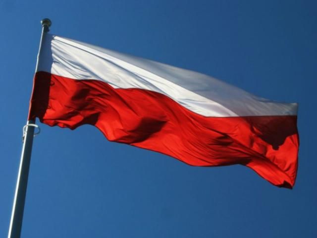 Польский наблюдатель: Предвыборная кампания была грязной, а голосование чистым