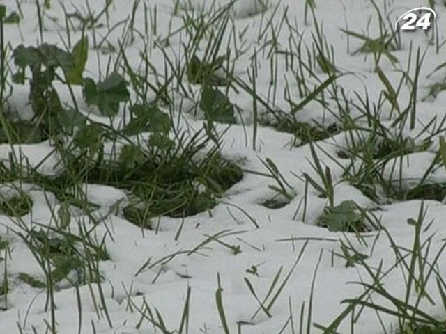 У Польщі жертвами холодів стали троє осіб У Польщі жертвами холодів стали троє осіб