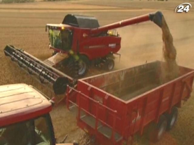 Мировые запасы зерна в этом году снизятся на 12%