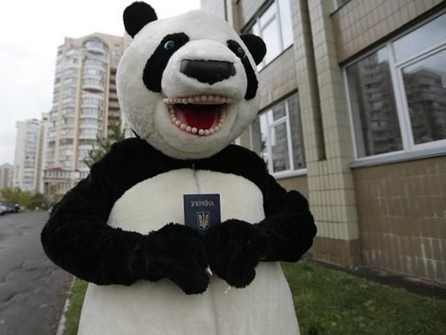 Как в столице панда голосовала (Фото)