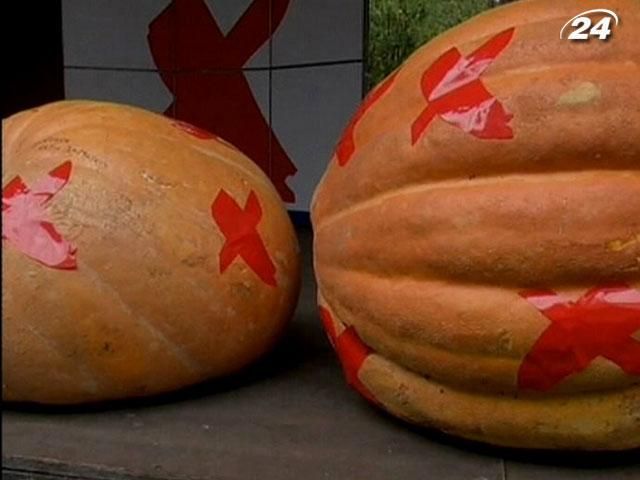 В Латвии к Хэллоуину выбрали самую большую тыкву