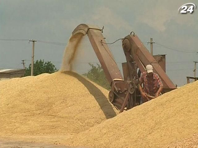 Низкий урожай и слабый внешний спрос тормозят украинскую экономику Низкий урожай и слабый внешний спрос тормозят украинскую экономику