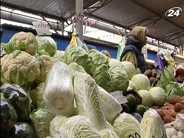 Отечественные аграрии ожидают большой урожай овощей Отечественные аграрии ожидают большой урожай овощей