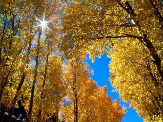 В Украине в ближайшие дни продержится теплая погода В Украине в ближайшие дни продержится теплая погода