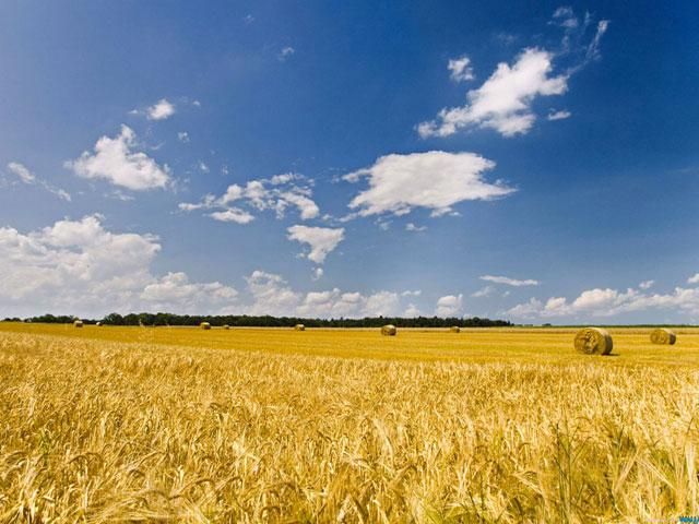 Підсумки тижня: Ринок землі з наступного року в Україні не відкриють Підсумки тижня: Ринок землі з наступного року в Україні не відкриють