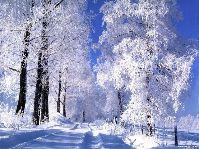 Укргидрометцентр: Украину в ноябре снегом не засыплет