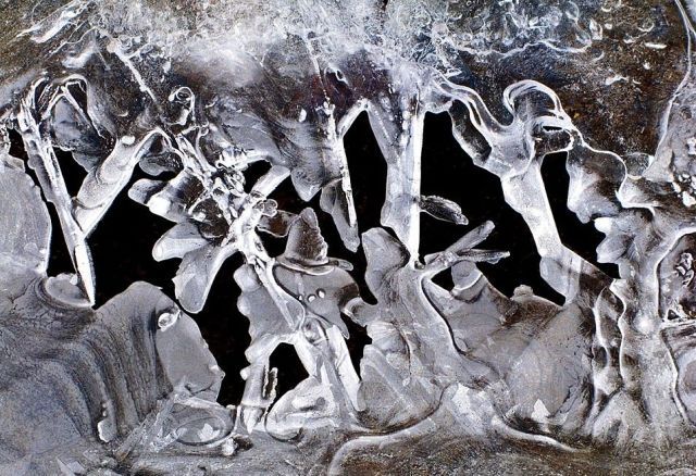 Американец сделал фото необыкновенно замерзших луж (Фото) Американец сделал фото необыкновенно замерзших луж (Фото)