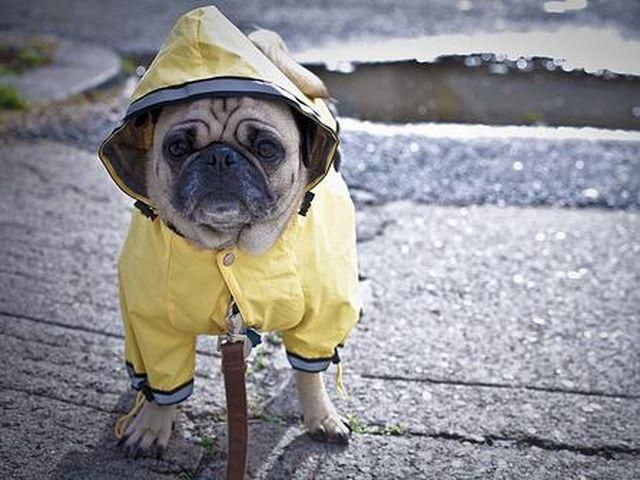 Похолодання прийде в Україну наприкінці тижня Похолодання прийде в Україну наприкінці тижня