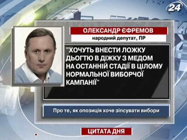 Єфремов: Опозиція вносить ложку дьогтю в виборчу діжку з медом