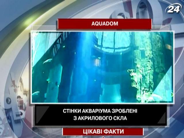 Цікаві факти про найбільший у світі циліндричний акваріум