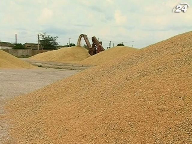 В Украине достаточно зерна, цены на хлеб и муку не повысят