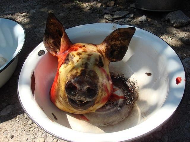 У Петербурзі чоловік підкинув голову свині у мечеть У Петербурзі чоловік підкинув голову свині у мечеть