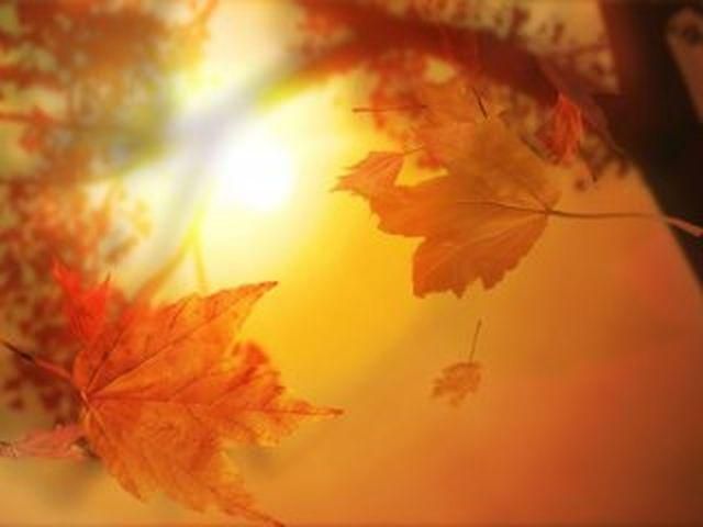 В Украину заморозки придут после 20 ноября В Украину заморозки придут после 20 ноября