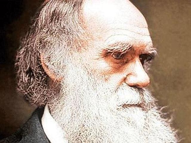 За Чарльза Дарвіна проголосувало чотири тисячі американців За Чарльза Дарвіна проголосувало чотири тисячі американців