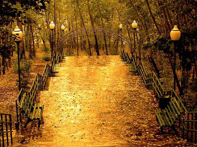 Вихідні будуть відносно теплими і сухими Вихідні будуть відносно теплими і сухими