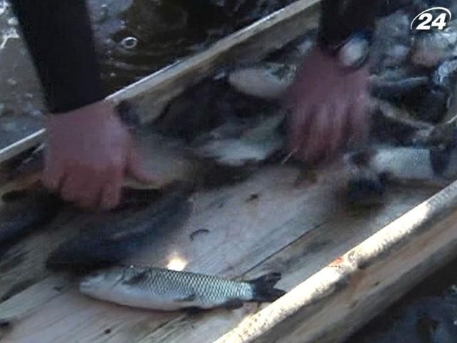 Рыбаки и водолазы почистили часть Днепра, протекающего в Запорожье