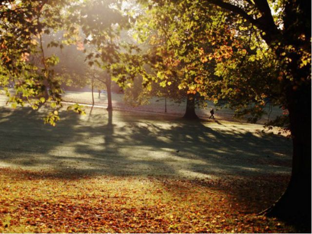 Завтра в Украине прогнозируют до 13 градусов тепла Завтра в Украине прогнозируют до 13 градусов тепла