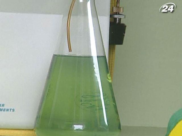 Українська митниця перевіряє румунський бензин, тому наразі не пускає його в країну Українська митниця перевіряє румунський бензин, тому наразі не пускає його в країну