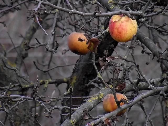 До вихідних в Україні без опадів, але прохолодно