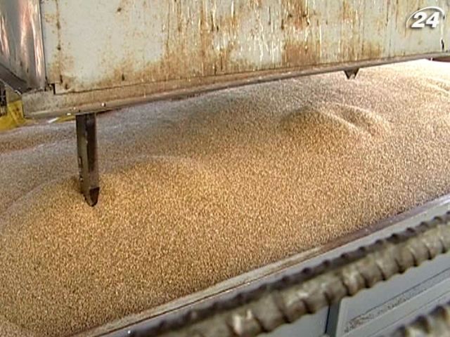 Україна цьогоріч зможе експортувати 5,5 млн тонн пшениці Україна цьогоріч зможе експортувати 5,5 млн тонн пшениці