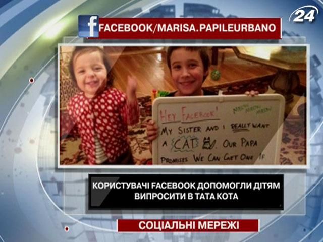 Пользователи Facebook помогли детям выпросить у папы кота Пользователи Facebook помогли детям выпросить у папы кота