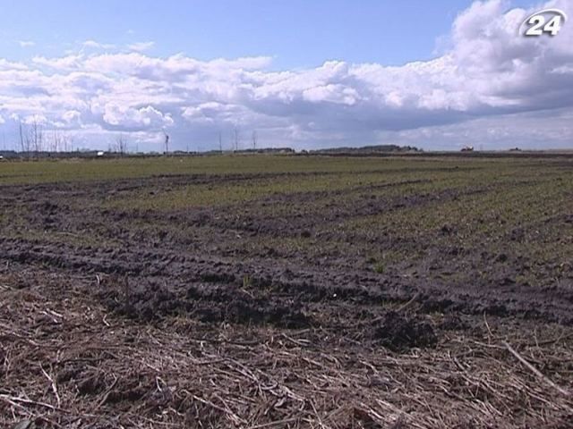 Присяжнюк: Украина должна завершить земельную реформу 2013-го года Присяжнюк: Украина должна завершить земельную реформу 2013-го года