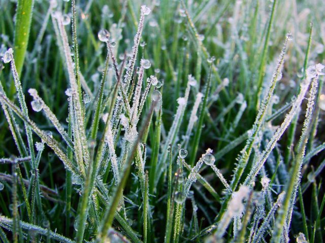 Тиждень в Україні почнеться зі заморозків Тиждень в Україні почнеться зі заморозків