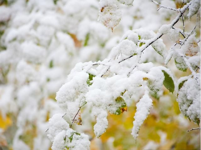 В Укргідрометцентрі прогнозують сніг у грудні В Укргідрометцентрі прогнозують сніг у грудні