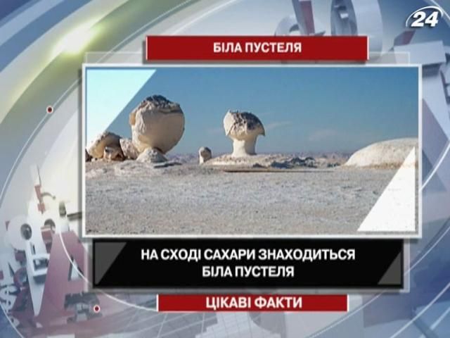 Цікаві факти про білу пустелю Цікаві факти про білу пустелю