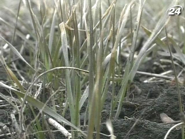 ВР не установила дату отмены моратория на продажу земли