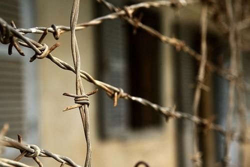 Тюремники: У СІЗО сидітиме на 3 тисячі менше осіб Тюремники: У СІЗО сидітиме на 3 тисячі менше осіб