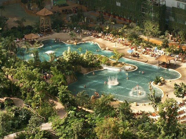 Тропіки у центрі Європи (Фото) Тропіки у центрі Європи (Фото)