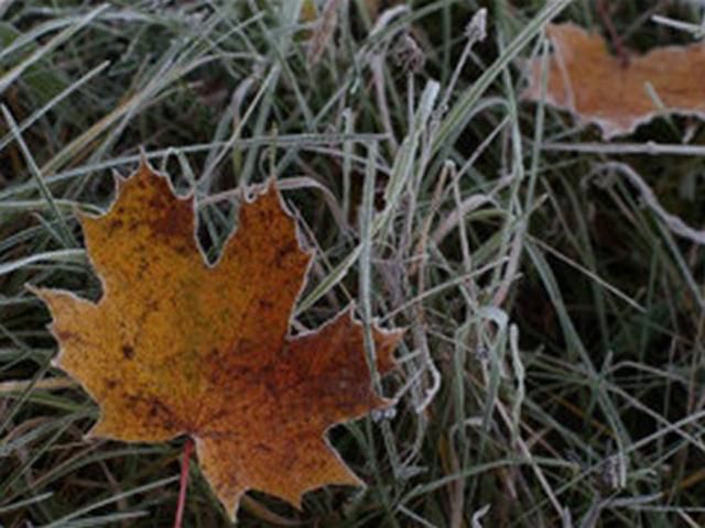 До выходных в Украине холодно и сухо До выходных в Украине холодно и сухо