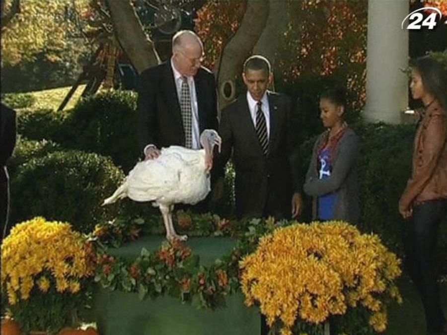 Президент Обама до Дня подяки помилував 2 індики