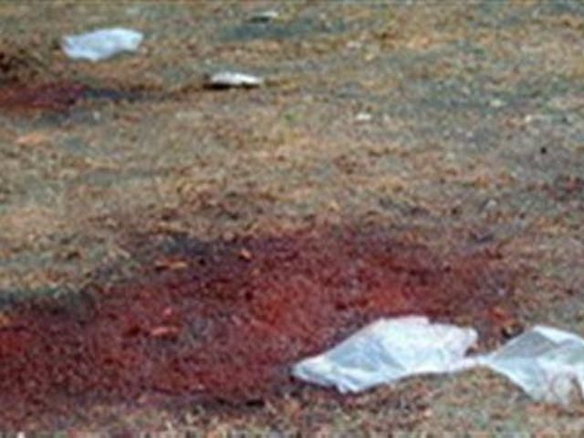 Страшне вбивство: У Запоріжжі розчленували 88-річну бабусю Страшне вбивство: У Запоріжжі розчленували 88-річну бабусю