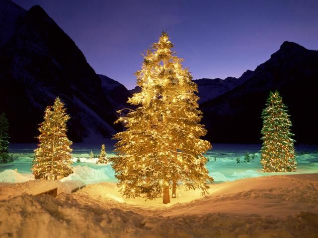 У Токіо можна придбати новорічну ялинку зі золота У Токіо можна придбати новорічну ялинку зі золота