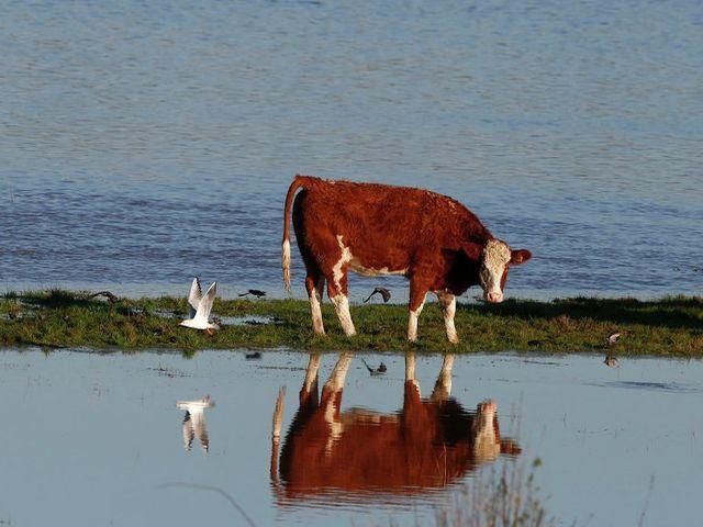 Центральну Англію затопило (Фото) Центральну Англію затопило (Фото)