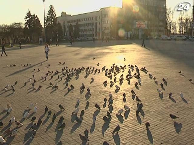 Донецких птиц будет пугать НЛО