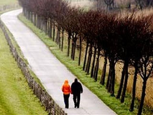 Наступного тижня в Україні буде прохолодно, з’явиться ожеледиця Наступного тижня в Україні буде прохолодно, з’явиться ожеледиця