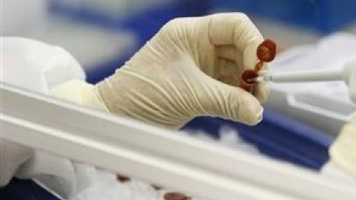 В Греции зафиксировали новые вспышки малярии В Греции зафиксировали новые вспышки малярии