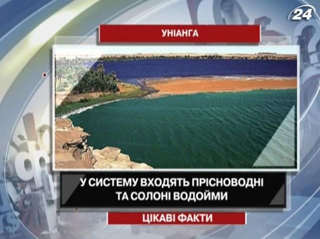 Интересные факты об озерах среди пустыни Интересные факты об озерах среди пустыни