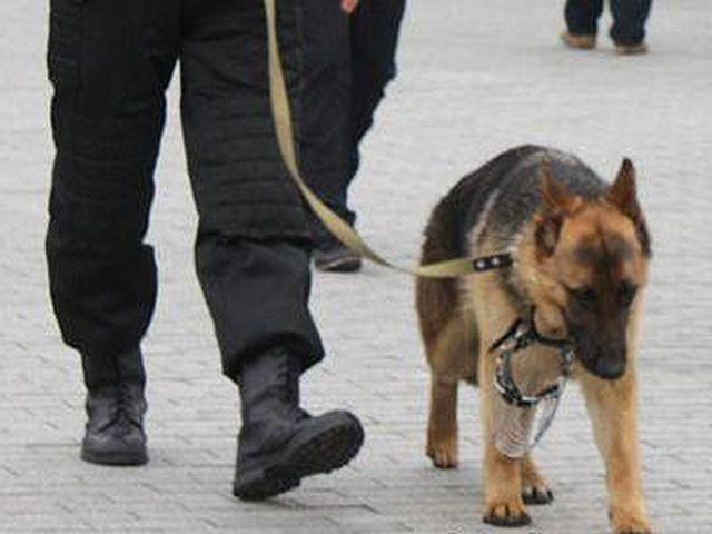 В Киеве "заминировали" гимназию В Киеве "заминировали" гимназию