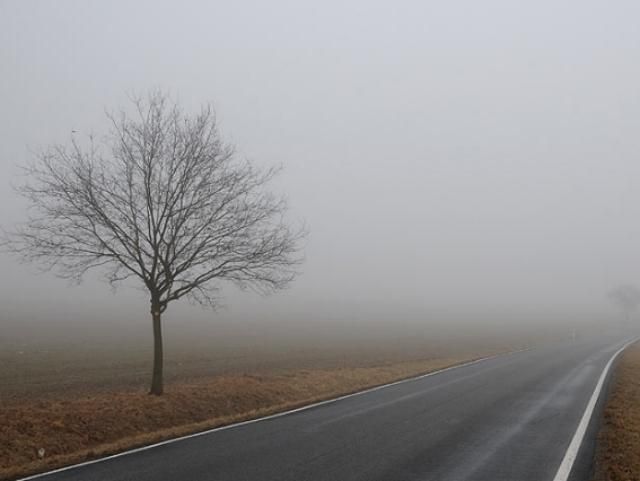 ДАІ радить водіям бути обережними: на дорогах туман і мокрий сніг ДАІ радить водіям бути обережними: на дорогах туман і мокрий сніг