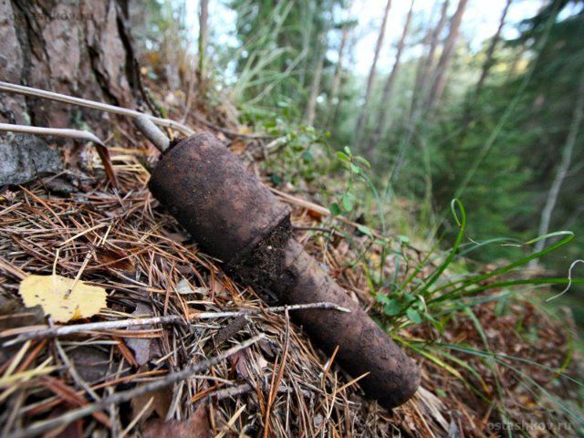 В детском лагере нашли тела советских воинов и боеприпасы В детском лагере нашли тела советских воинов и боеприпасы