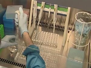 Зупинити туберкульоз Зупинити туберкульоз