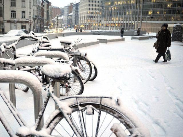 Затори у Бельгії побили рекорди – 347 кілометрів Затори у Бельгії побили рекорди – 347 кілометрів